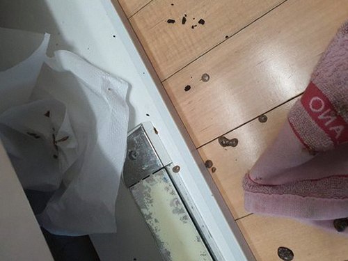 하남 하수구막힘 광암동 하수구막힘 빌라 배수 불량 원인을 차례로 확인